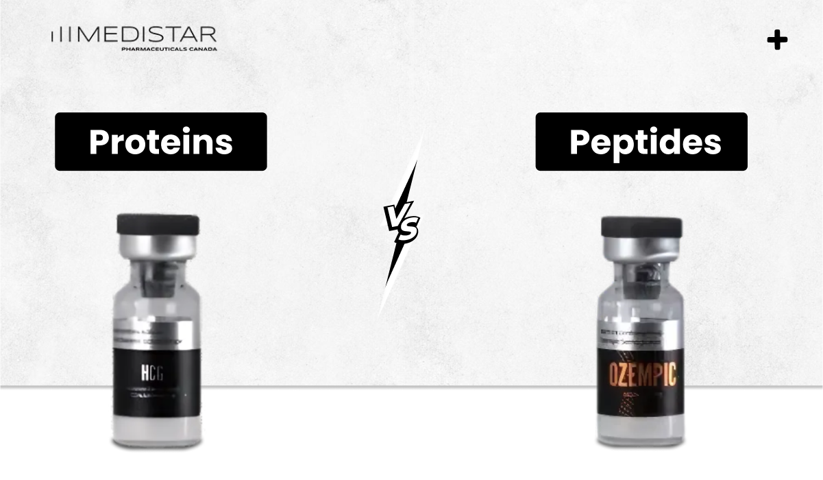 Proteins vs Peptides