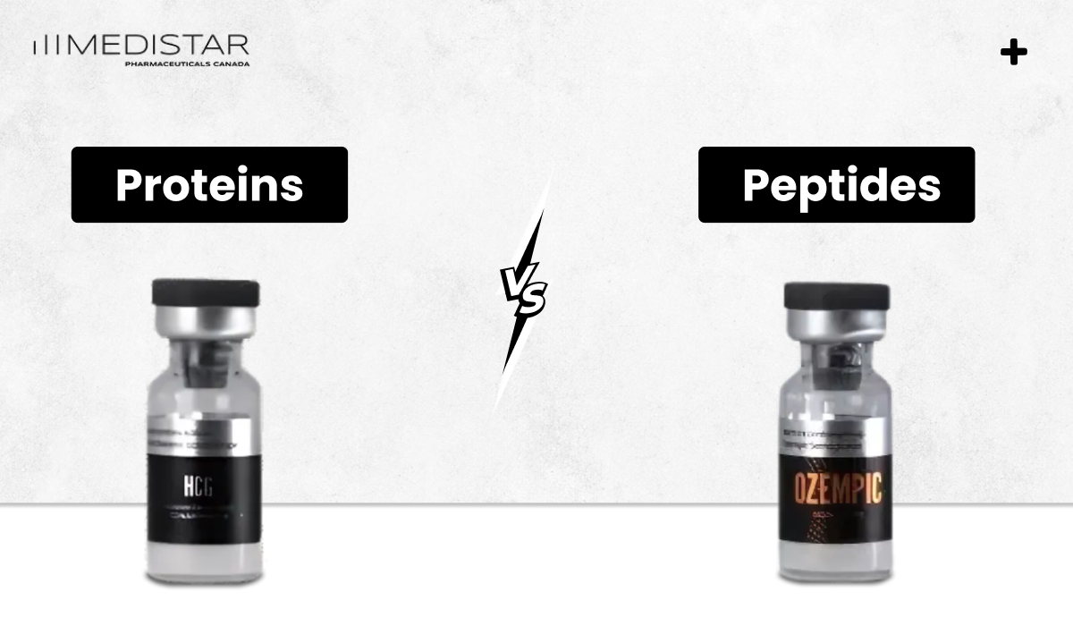Proteins vs Peptides