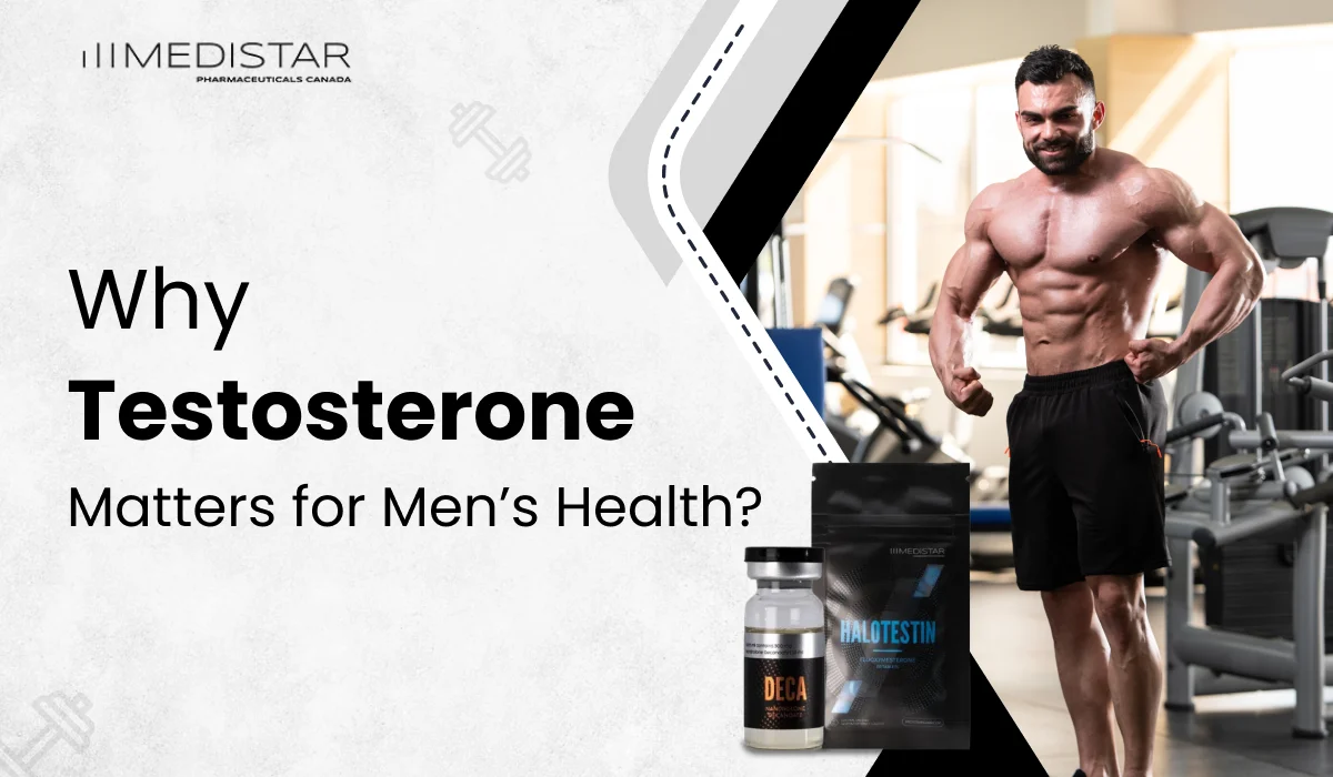 role of testosterone in men’s health