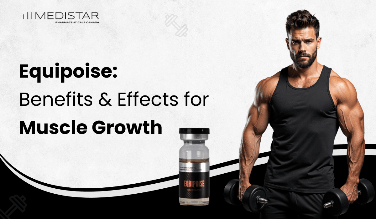 Equipoise and Muscle Development